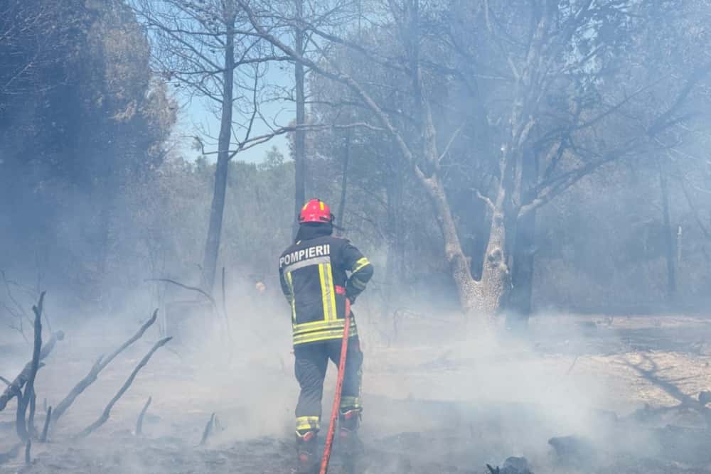 Pompierii români se luptă cu flăcările și în Franța!