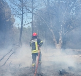 Pompierii români se luptă cu flăcările și în Franța!