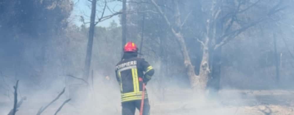 Pompierii români se luptă cu flăcările și în Franța!
