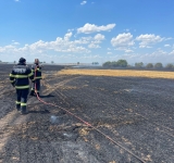 Incendiu pe 30 de hectare de teren, în comuna Colceag