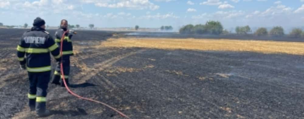 Incendiu pe 30 de hectare de teren, în comuna Colceag