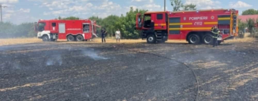Un hectar de teren cu pomi fructiferi, mistuit de flăcări, la Gura Vadului