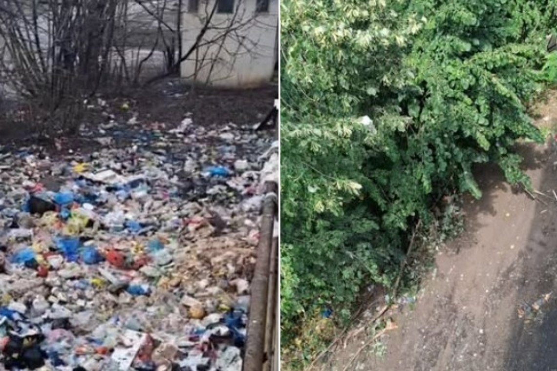 Cum ne-am luat cu toții țeapă de la Mihai Polițeanu
