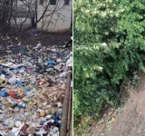 Cum ne-am luat cu toții țeapă de la Mihai Polițeanu