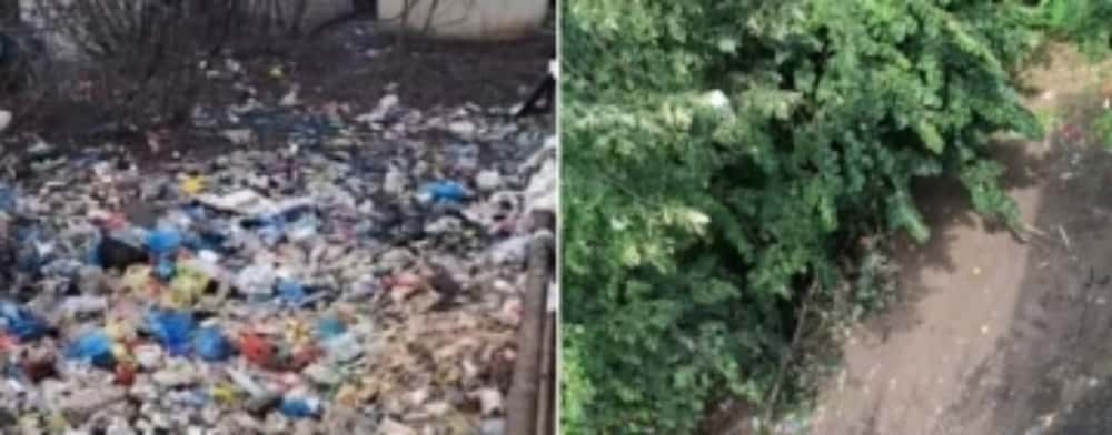 Cum ne-am luat cu toții țeapă de la Mihai Polițeanu