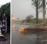 Avarii la rețelele electrice, stâlp căzut peste o casă și arbori rupți de vijelie, în Prahova