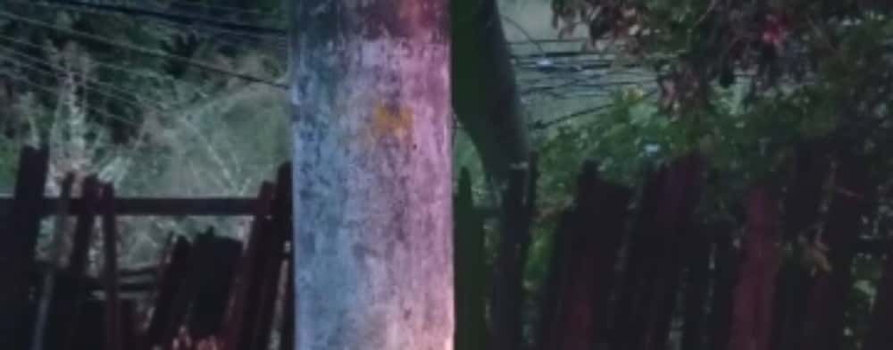 Peste 30.000 de consumatori au rămas fără curent, în Prahova, din cauza vijeliei