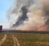 80 de hectare de grâu și rapiță au fost mistuite de flăcări pe raza comunei Colceag