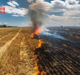 În weekend, pompierii prahoveni au acționat la 15 incendii de vegetație uscată și în gospodăriile populației