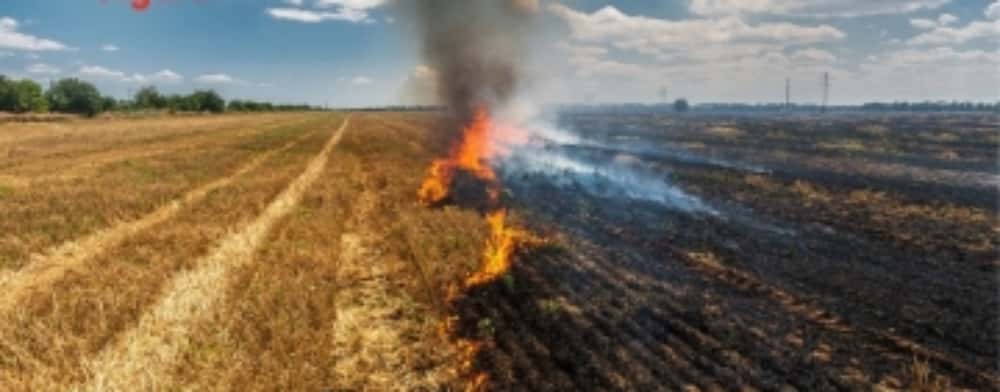 În weekend, pompierii prahoveni au acționat la 15 incendii de vegetație uscată și în gospodăriile populației