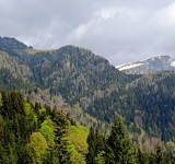 Salvamontiștii din Sinaia atrag atenția asupra riscului producerii incendiilor pe munte, în aceste zile caniculare