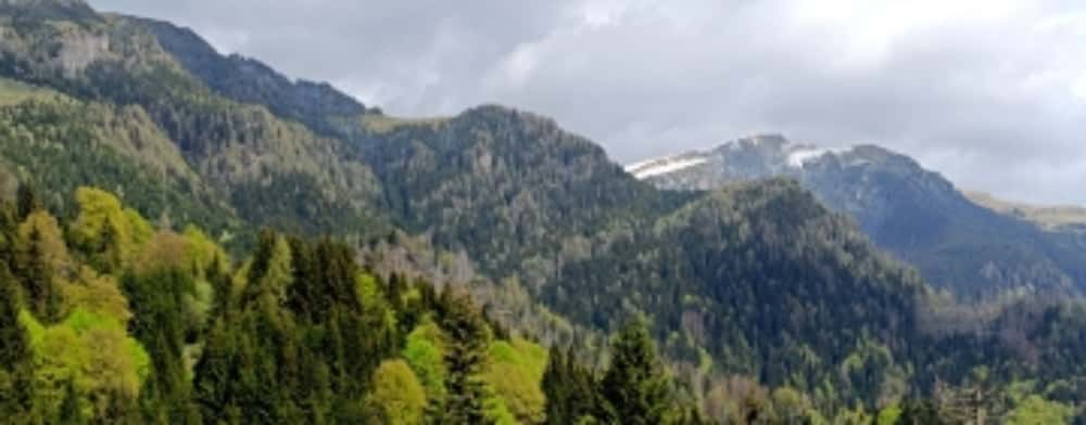 Salvamontiștii din Sinaia atrag atenția asupra riscului producerii incendiilor pe munte, în aceste zile caniculare