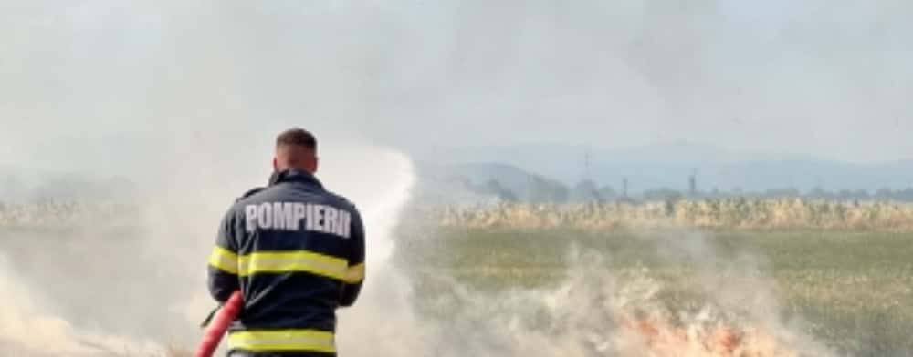 Incendiu de miriște, pe 10 hectare, și în Filipeștii de Târg