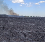 Update/ Vântul îngreunează stingerea incendiului de la Chițorani! 70 de pompieri se luptă cu flăcările