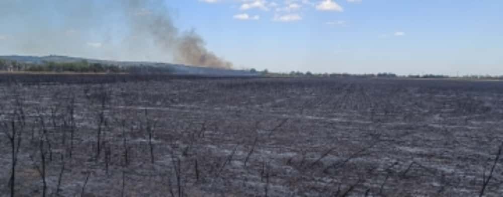 De la ce ar fi pornit incendiul care a cuprins 50 de hectare de teren, la Chițorani