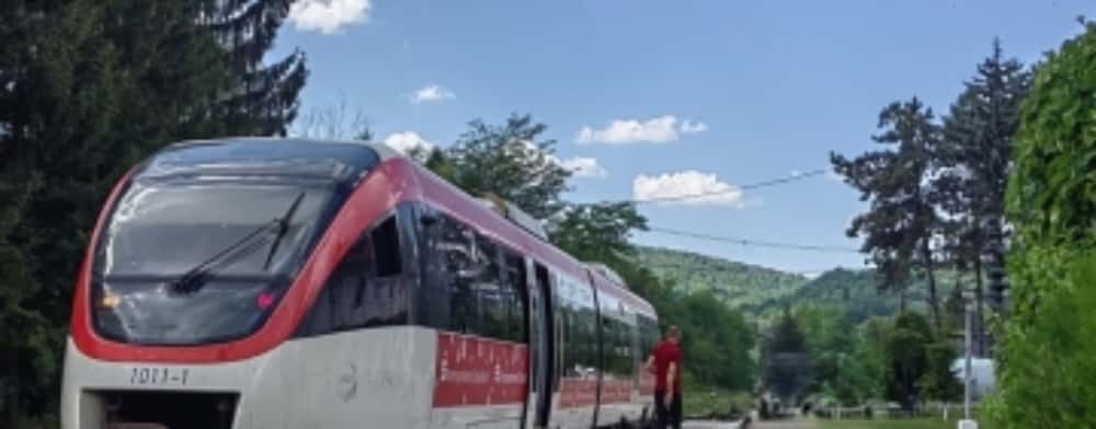 Pompierii au stabilit cauza probabilă a incendiului produs la trenul Transferoviar Călători, în Gara Plopeni