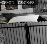 Un urs a fost filmat alergând pe o stradă din Vălenii de Munte, noaptea trecută