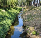 Primăria Ploiești dă iar un sac de bani pentru hârtii și studii. Amenajarea albiei pârâului Dâmbu, la apel!