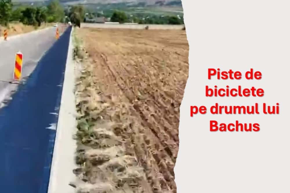 Se lucrează intens la pistele de biciclete de pe Drumul lui Bachus!