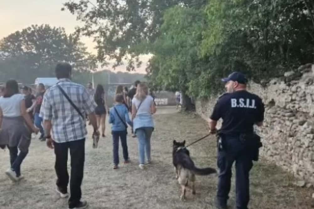 Cățelul Vof, ajutorul blănos al jandarmilor la festivalul din Florești