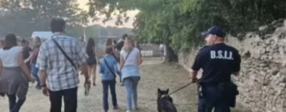 Cățelul Vof, ajutorul blănos al jandarmilor la festivalul din Florești