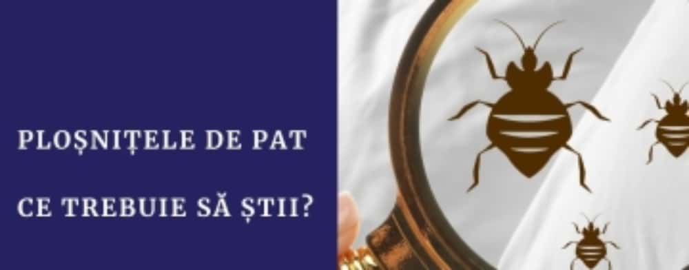 V-ați întors din concediu cu ”vizitatori nepoftiți” în bagaje? Ce trebuie să știți