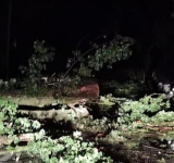 Intervenții ale pompierilor în urma furtunii care a măturat Prahova