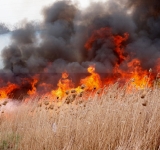 UPDATE/ Incendiu de vegetație lângă Centura de Est a Ploieștiului