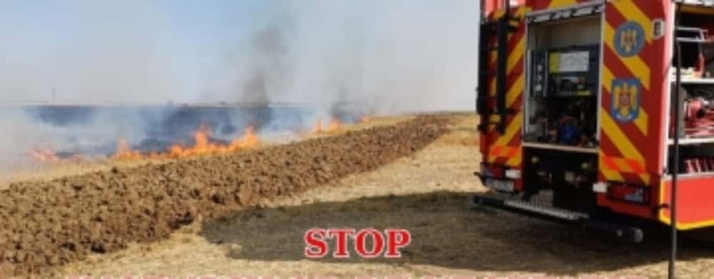 Zi de foc pentru pompierii prahoveni: zeci de hectare de vegetație uscată cuprinse de flăcări
