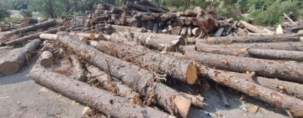 Lemn fără documente, descoperit într-un depozit al unei firme din Sinaia