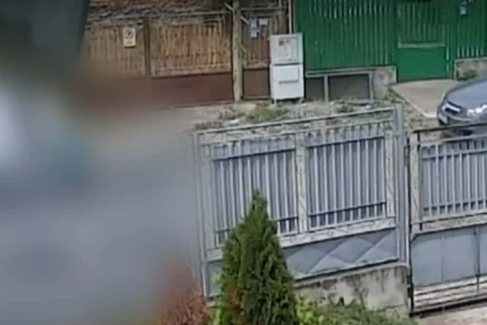 Declic: Cinci polițiști de la IPJ Prahova, cercetați de IGPR în cazul femicidului de la Lipănești