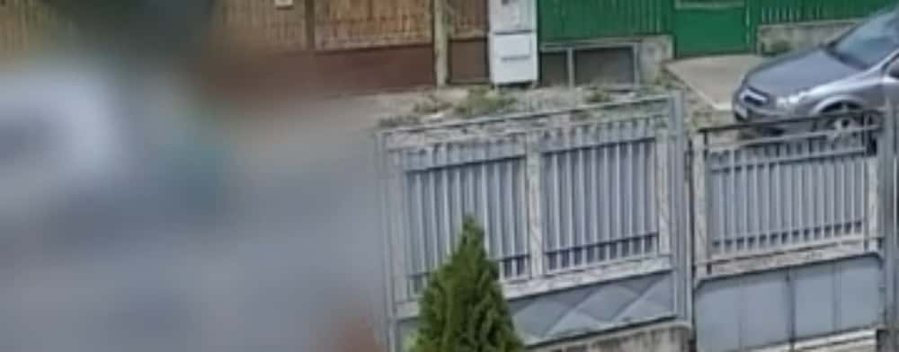 Declic: Cinci polițiști de la IPJ Prahova, cercetați de IGPR în cazul femicidului de la Lipănești