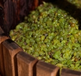 Mustul fierbe, dar și omoară! Pompierii trag semnalul de alarmă