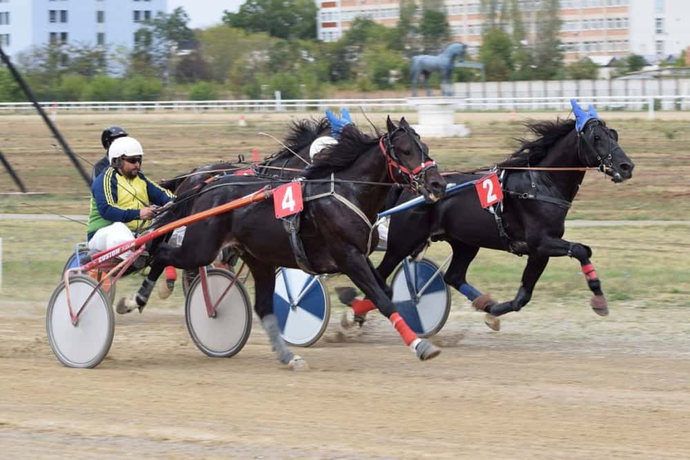 Spectacol hipic pe Hipodromul Ploiești: circa 500 de spectatori la reuniunea oficială de trap și galop