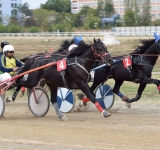 Spectacol hipic pe Hipodromul Ploiești: circa 500 de spectatori la reuniunea oficială de trap și galop