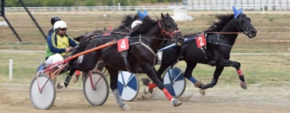 Spectacol hipic pe Hipodromul Ploiești: circa 500 de spectatori la reuniunea oficială de trap și galop