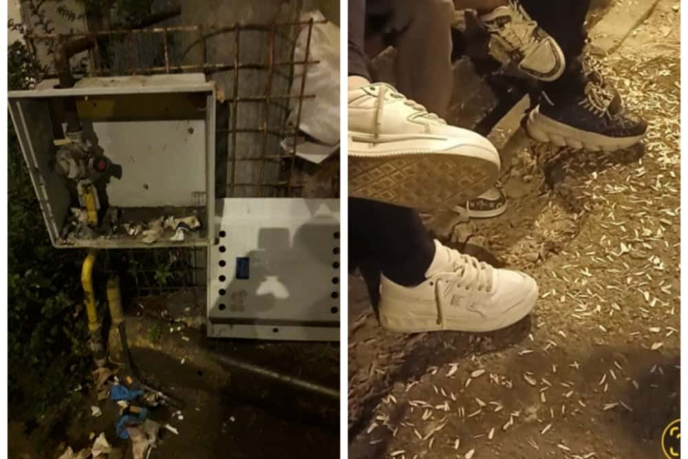 Mâncători de semințe, bețivi și indivizi care urinau pe domeniul public - sancționați de polițiștii locali ploieșteni