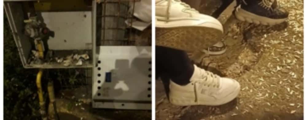 Mâncători de semințe, bețivi și indivizi care urinau pe domeniul public - sancționați de polițiștii locali ploieșteni