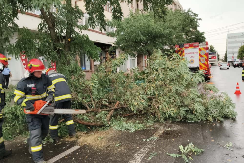 Vântul a doborât mai mulți copaci în Ploiești, Câmpina, Urlați și Râfov. Pompierii au intervenit pentru degajarea arborilor căzuți