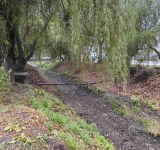 Pârâul Dâmbu „înghite” peste 130.000 de euro pentru studii de reamenajare. O ”revitalizare” a zonei deocamdată doar pe hârtie!