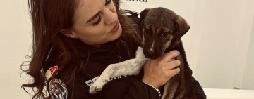 Cățelușă salvată de polițiștii din Prahova, după un caz de neglijare semnalat pe rețelele de socializare