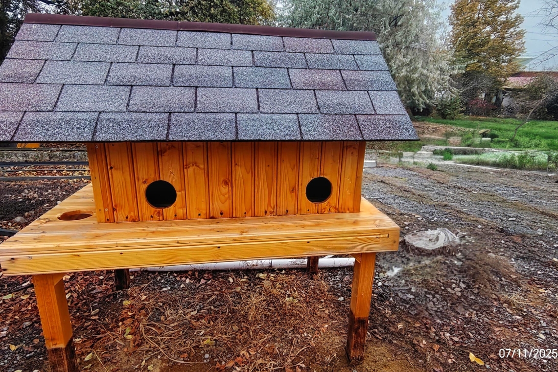 „Codițe Cozy” – căsuțe cu suflet pentru pisicile fără stăpân din Ploiești. Un proiect pentru care SGU Ploiești merită felicitări!