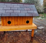 „Codițe Cozy” – căsuțe cu suflet pentru pisicile fără stăpân din Ploiești. Un proiect pentru care SGU Ploiești merită felicitări!