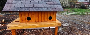 „Codițe Cozy” – căsuțe cu suflet pentru pisicile fără stăpân din Ploiești. Un proiect pentru care SGU Ploiești merită felicitări!