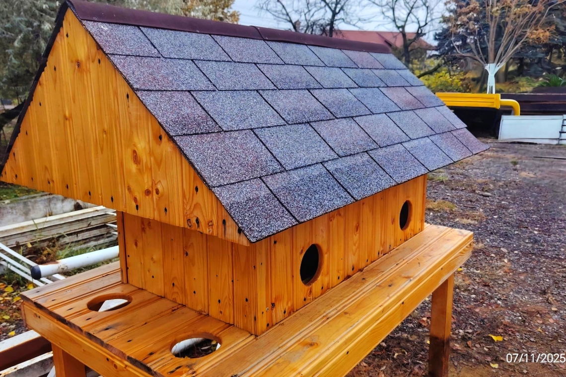 Detalii despre căsuțele pentru pisicile fără stăpân din Ploiești. De unde puteți descărca o cerere de amplasare a unui adăpost