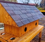 Detalii despre căsuțele pentru pisicile fără stăpân din Ploiești. De unde puteți descărca o cerere de amplasare a unui adăpost