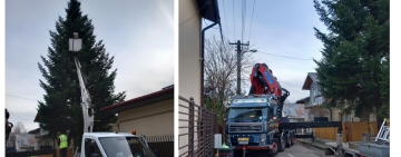 Brazii donați de ploieșteni și prahoveni vor aduce spiritul Crăciunului în cartierele Ploieștiului