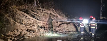 Intervenții în lanț ale pompierilor prahoveni: inundații, copaci doborâți și alunecări de teren