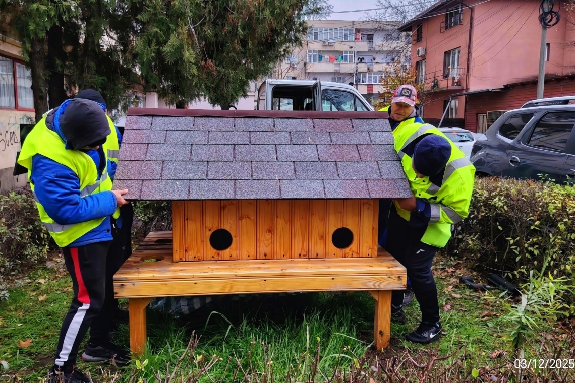 Primul adăpost pentru pisici fără stăpân a fost instalat în Ploiești