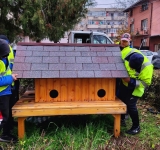 Primul adăpost pentru pisici fără stăpân a fost instalat în Ploiești